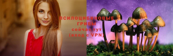 трава Приозерск