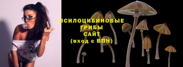ГАЛЛЮЦИНОГЕННЫЕ ГРИБЫ Абдулино