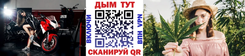 где продают наркотики  Киржач  Канабис ГИДРОПОН 